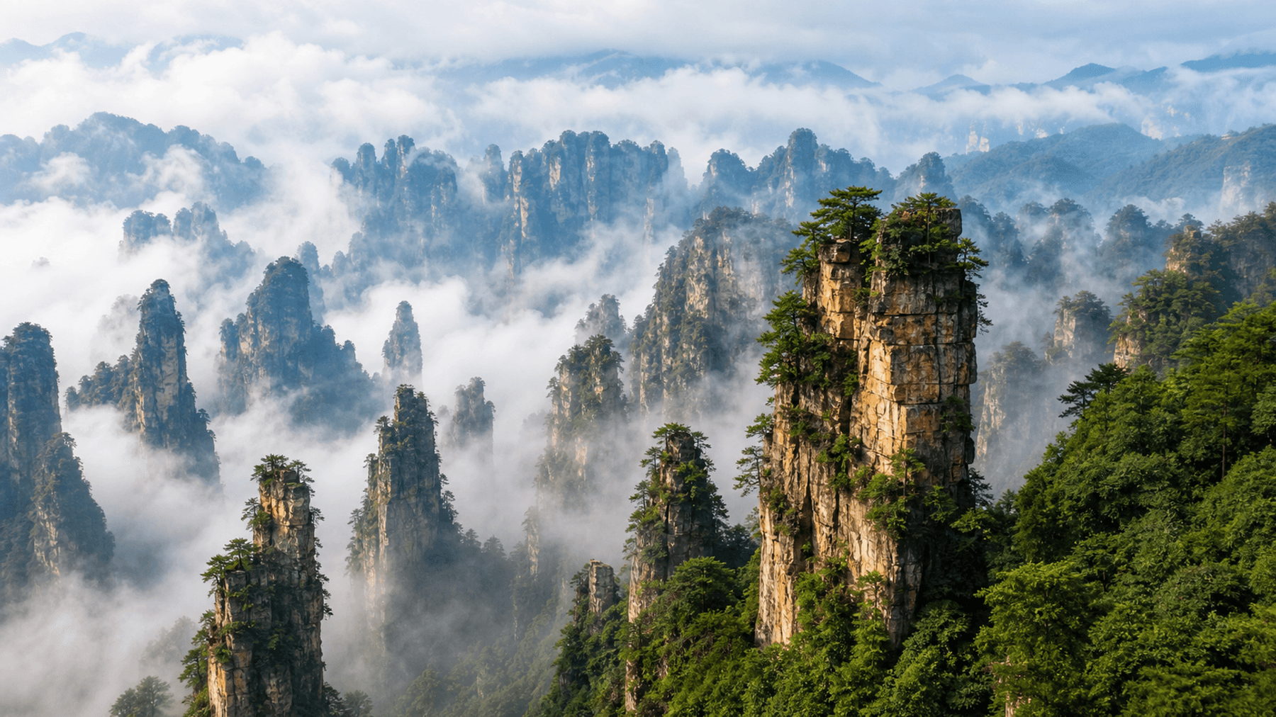 Spiritual Retreat & Taoist Tea Ceremony at Qingcheng Mountain